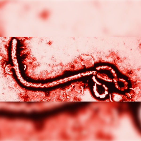 ebola, Yambuku, Эбола, вирус, ученые, Как лихорадка Эбола получила свое название