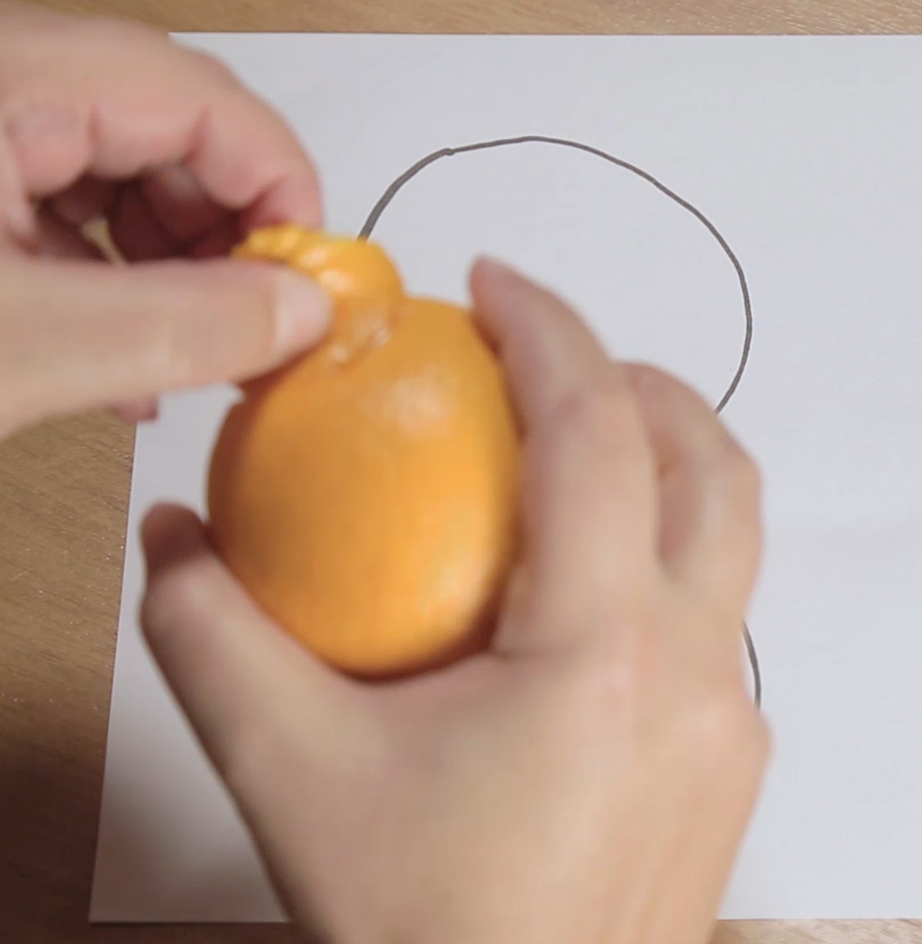математика,наука, Гуманитарий объяснил математику на апельсинах